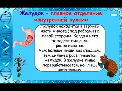 Главное отделение внутренней