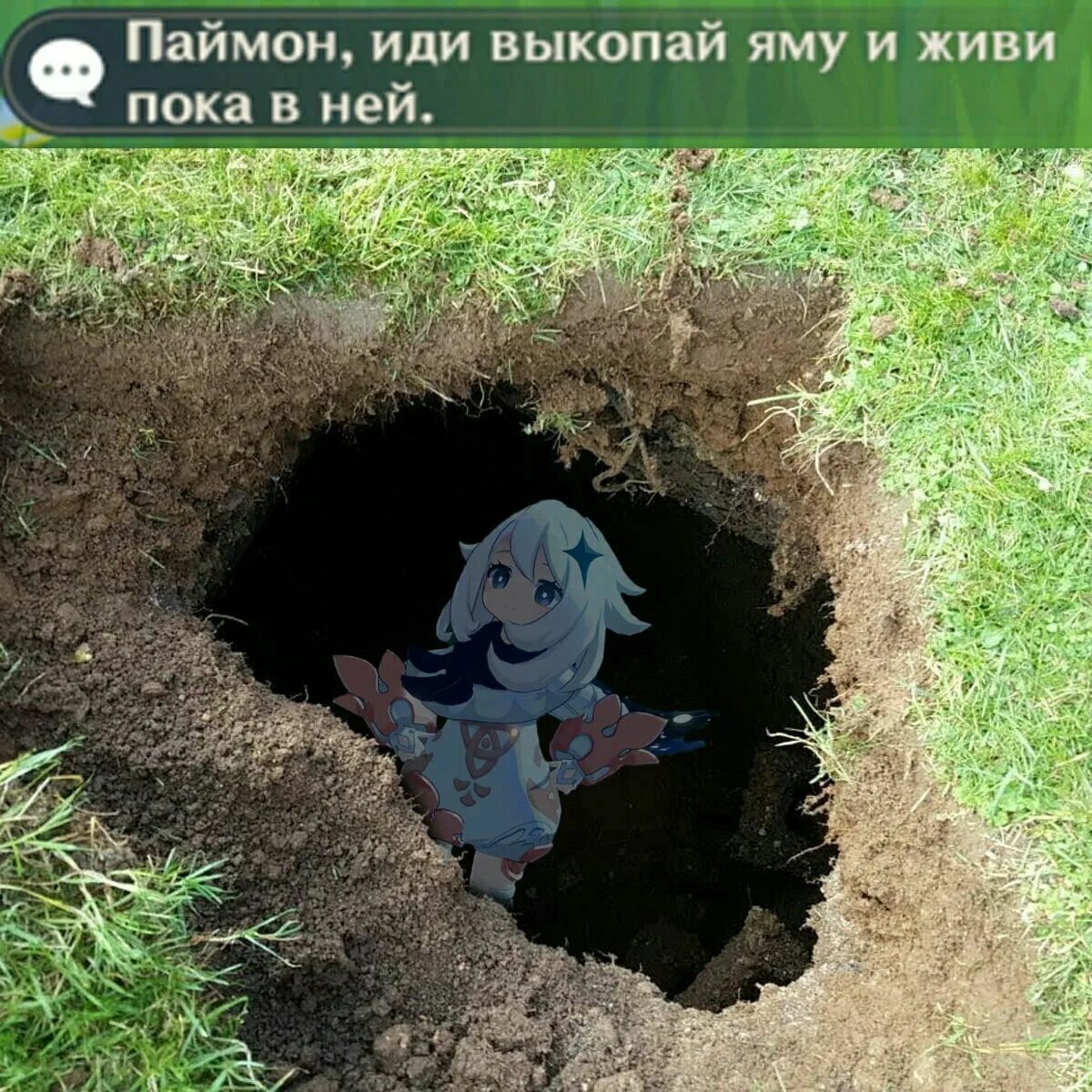 Выкапывай выкапывай его я тебя умоляю дзен
