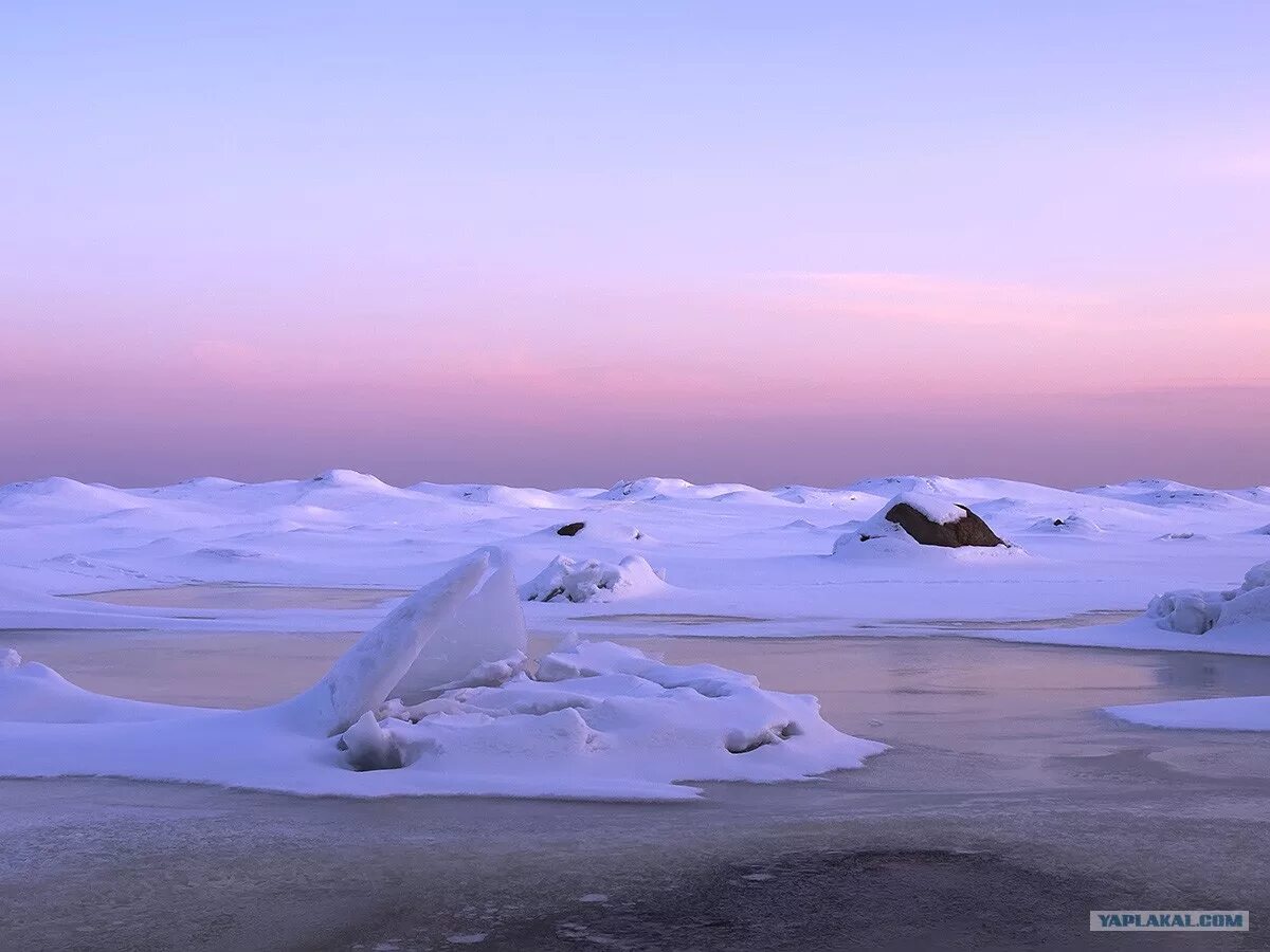 Заснеженная бухта. Бухта зимой. Финский залив зеленогорск зима. Повенецкий залив зима. Тихая бухта южно сахалинск зима.