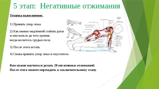 Отжимания 7 класс. Правильная методика отжимания от пола. Отжимание от пола техника выполнения. Правильное выполнение отжиманий. Отжимание в упоре лежа техника выполнения.