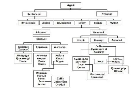 Адай шежіресі