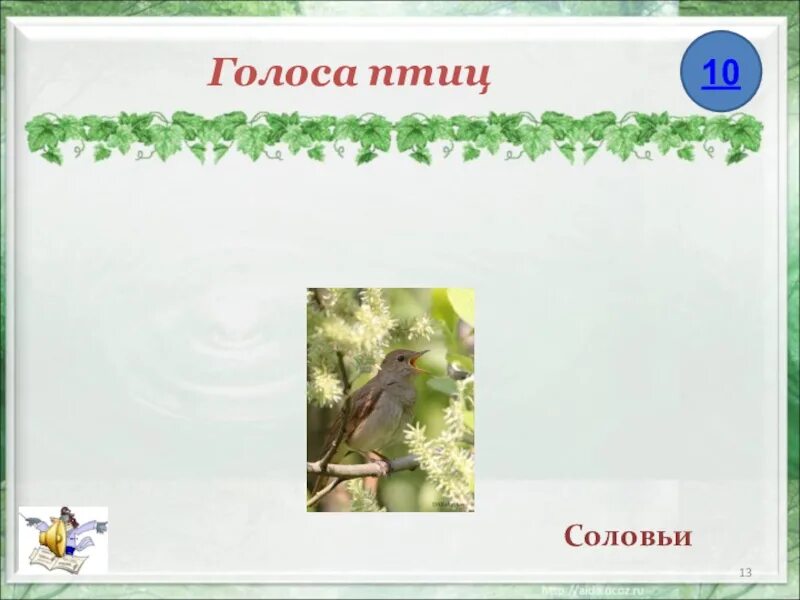 Найти голоса птиц. Голоса птиц. Аудиозапись голоса птицы. Запись голосов птиц. Голоса птиц для детей.