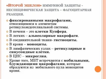 Второй эшелон