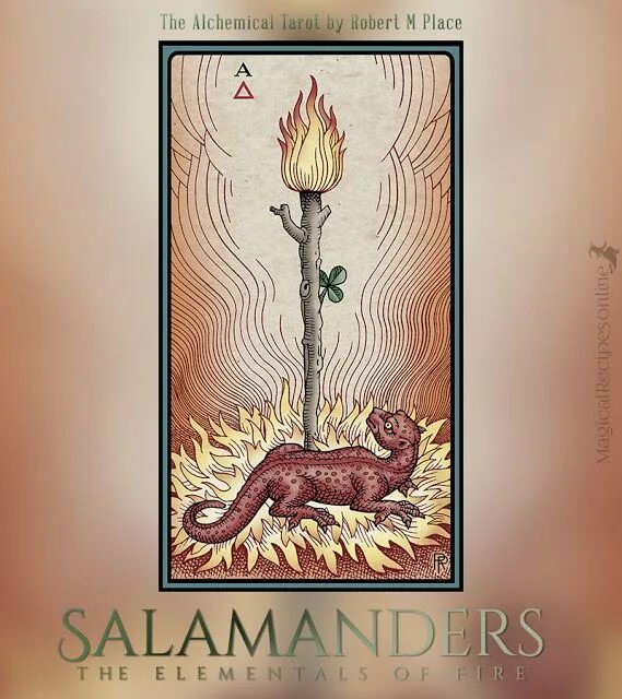 Карты таро арт. Елена саламандра тар. Мешочек для карт мини орнамент. Огненная саламандра таро. Туз жезлов таро.