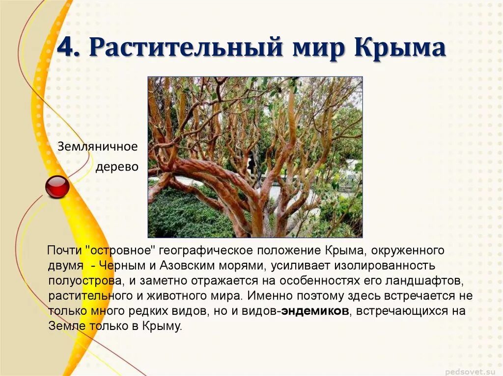 Проект разнообразие родного края 3 класс крым Картинки ЖИВОТНЫЕ КРЫМА 3 КЛАСС