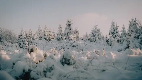 Погода сибирский 3 дня