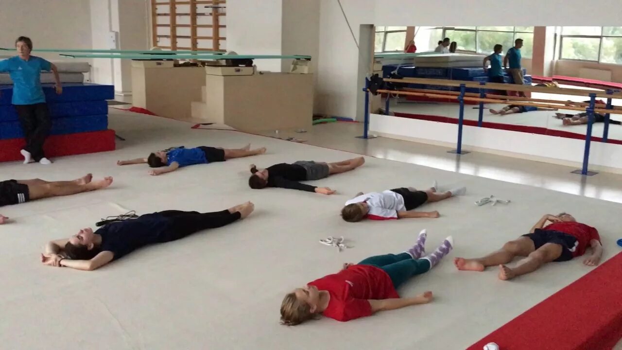 Тренировка по шульцу 1. Аутогенная тренировка в спорте. метод аутогенной тренировки. психорегулирующая тренировка. психомышечная релаксация.