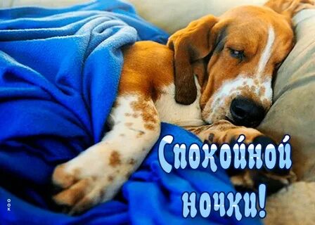 Спокойна 18