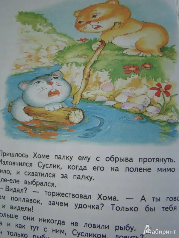 Хома и суслик книга