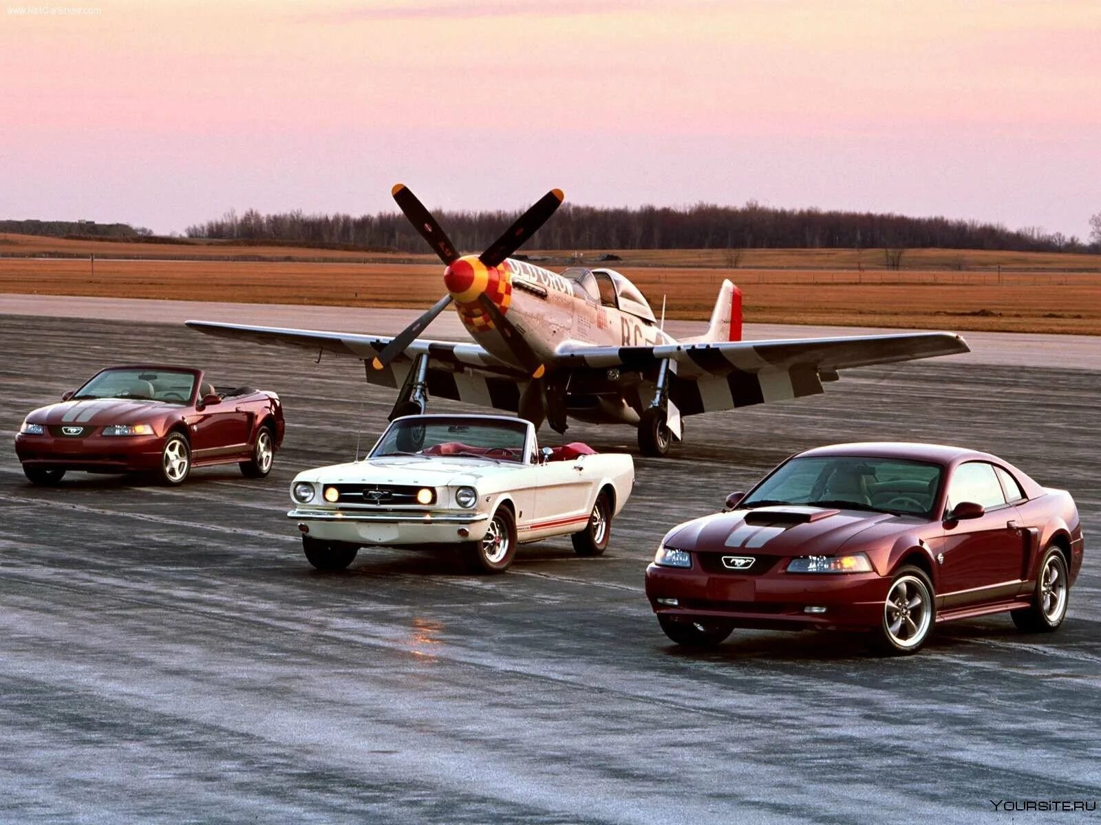 Первая машина самолет. Ford Mustang gt 1999. Ford Mustang p-51. P51 и Форд Мустанг. Мустанг Форд Мустанг 2004.