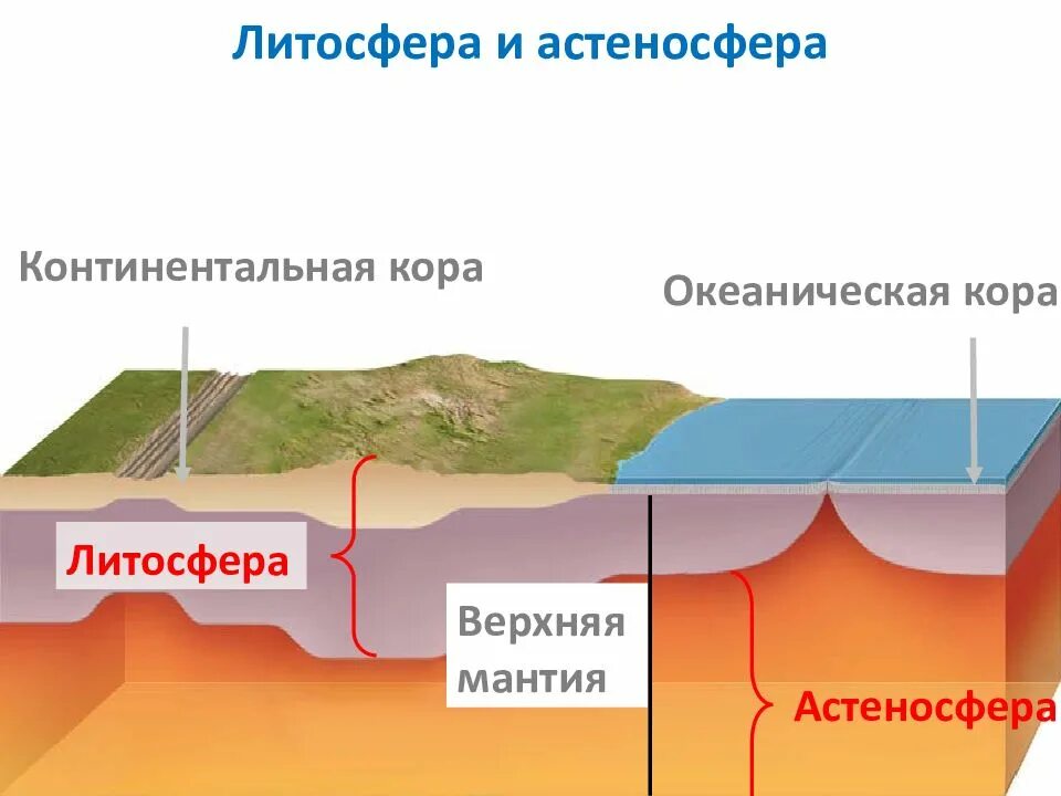 Астеносфера это. Литосфера океаническая кора. литосфера кора верхняя мантия. земная кора литосфера астеносфера. континентальная кора литосферы.