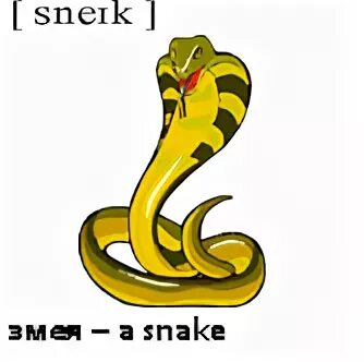 Snake перевод на русский