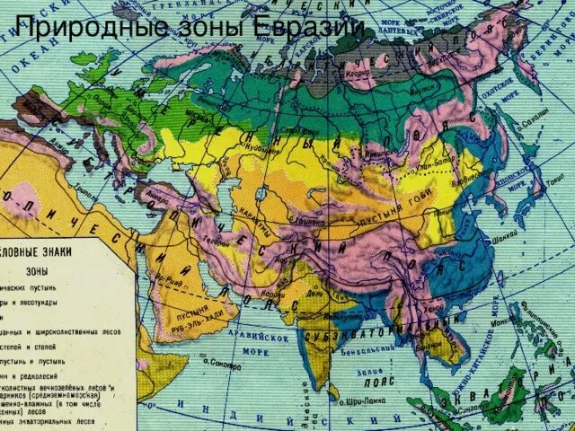 Карта зон евразии