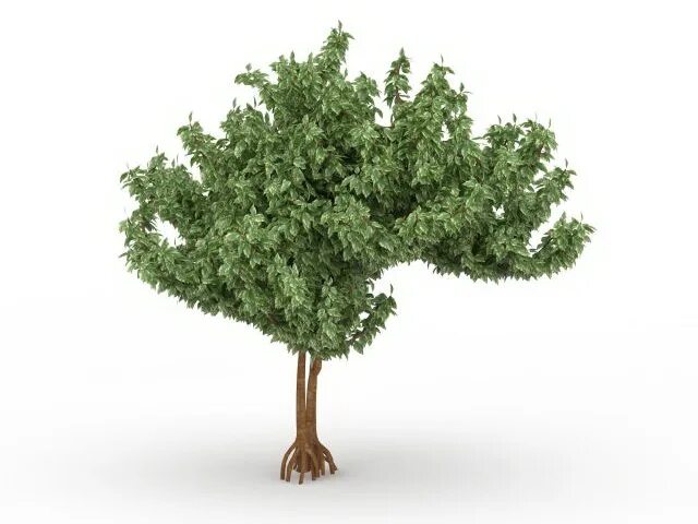 Max tree. Деревья в 3ds max. рендер дерево 3d. 3д макс дерево изометрия. облепиха дерево 3д модель.