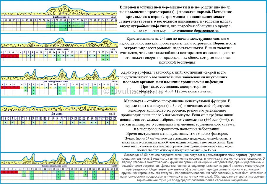 Выделения по дням цикла описание. Выделения по дням цикла описание каждого. Выделения по дням цикла описание каждого дня. С какого дня цикла считается задержка.