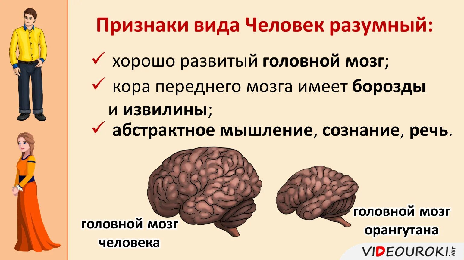 Почему человек относится к классу. Вид человек разумный признаки. Признаки человека разумного. Видовые признаки человека разумного.