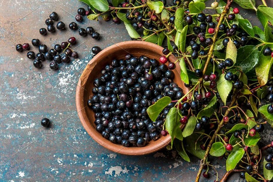 Ягоды маки. Ягода мак. Ягоды маки. Maqui berry. Ягоды маки.