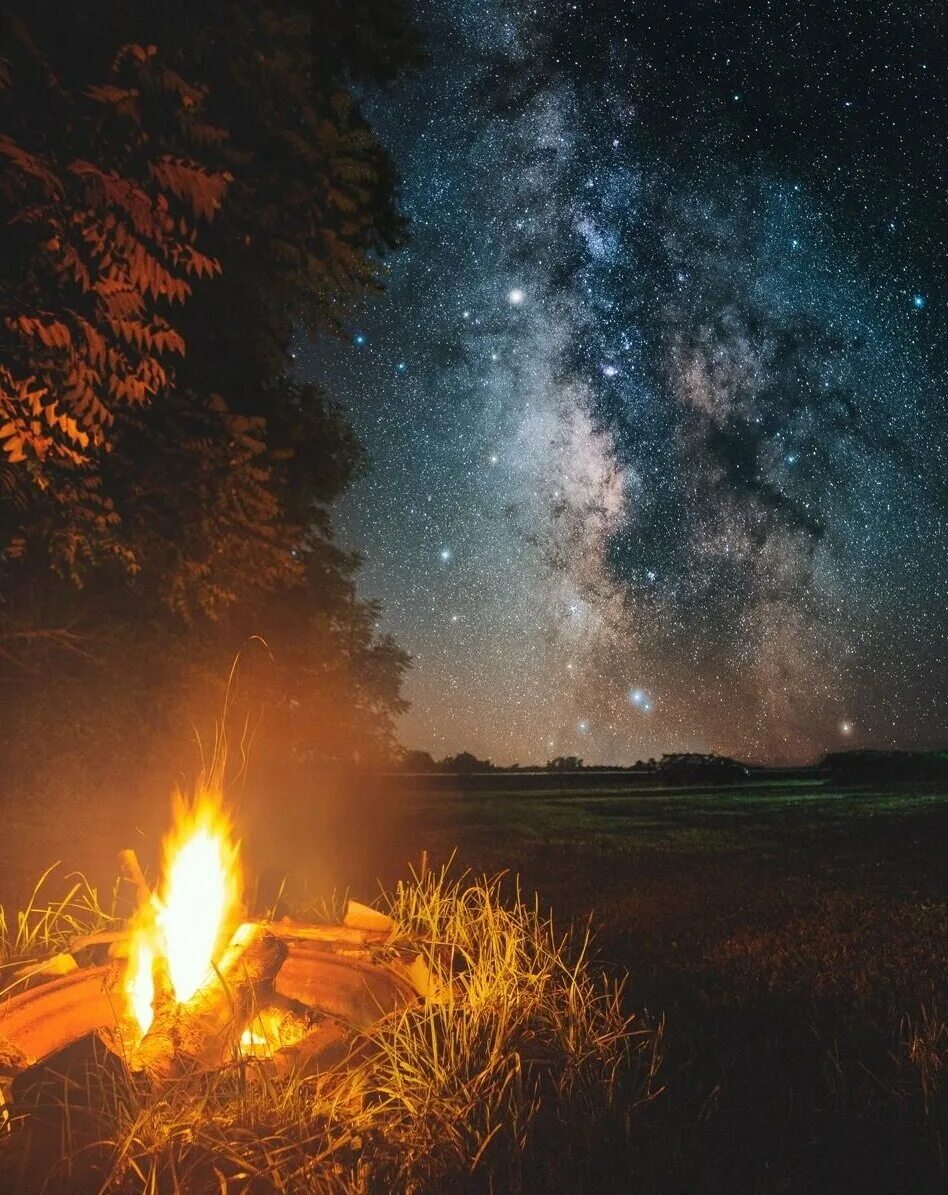 Огонь в лесу ночью. Природа. Вечер у костра. Ночь город романтика. Зимнее окно.