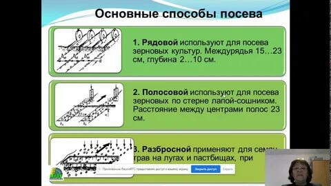 Способы посева культур