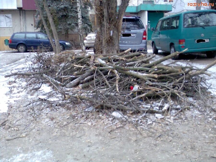 Куча хвороста. Дрова ветки. Хворост дрова. Затор водоёма ветками дров.