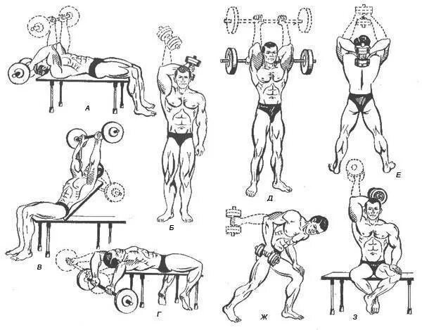 Упражнения на трицепс с гантелями и штангой. Сплит в тренажерном зале. Мужчина в хорошей физической форме. Как качаться в тренажерном зале. Упражнения на грудные мышцы.