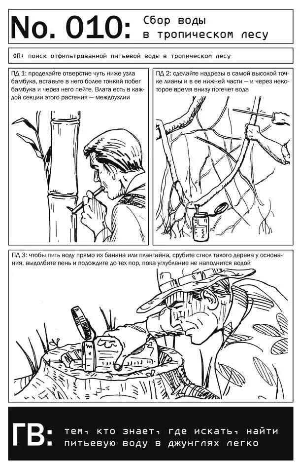 Схема выживания в дикой природе. СТО навыков выживания по методике спецслужб. 100 навыков по методике спецслужб