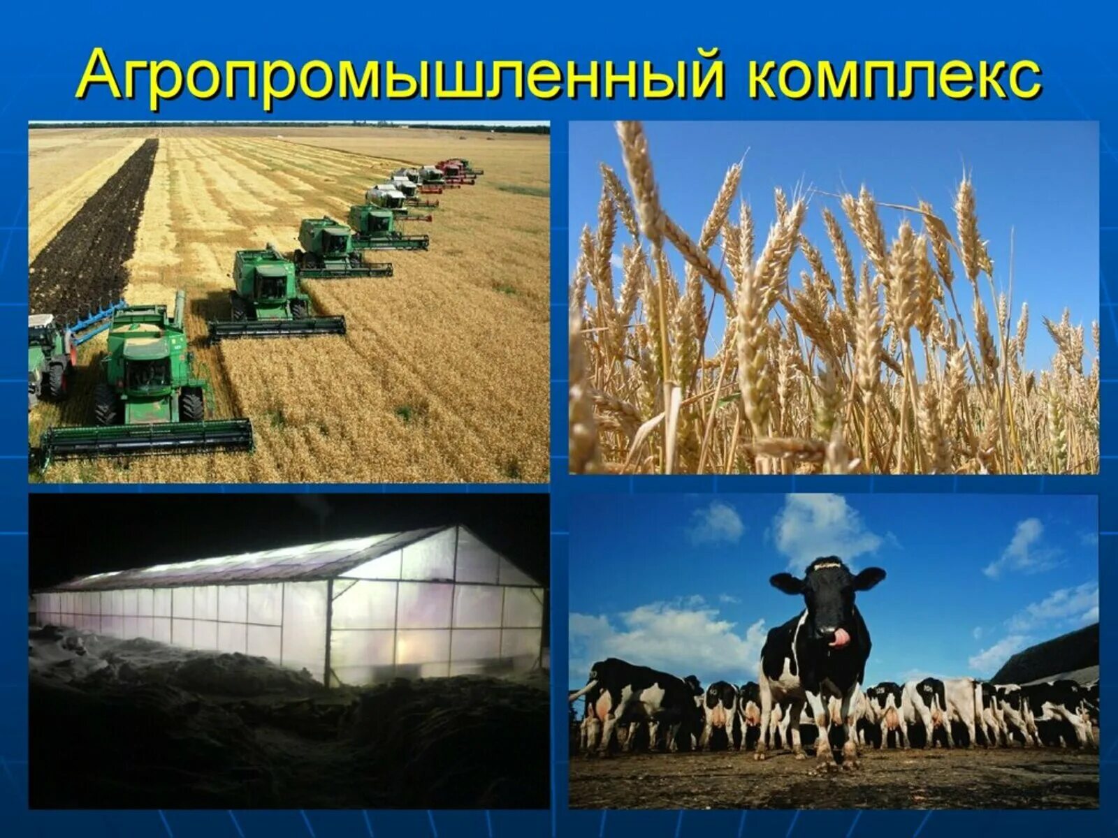 Районы производства сельскохозяйственной продукции. Агропромышленный комплекс сельское хозяйство Волго Вятский район. Отрасли специализации сельского хозяйства Волго-Вятского района. Отрасли сельского хозяйства Волго Вятского района. Сельское хозяйство и пищевая промышленность.