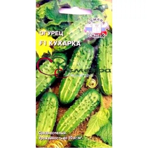 огурец куча мала. огурец куча мала. аэлита огурец гвоздик f1. огурцы куча мала. огурец куча мала.