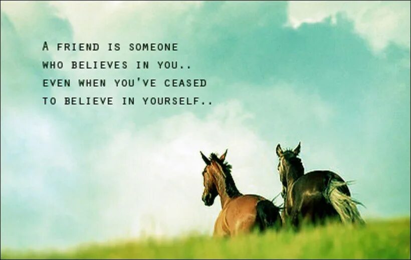 Quotes about actors. Find someone who quotes. Quotes about helping. You deserve it. Married alive.