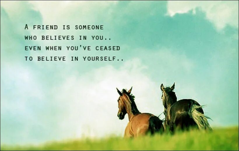 Someone is true. True friends. Someone who believes. Friendship is. A true true friend.