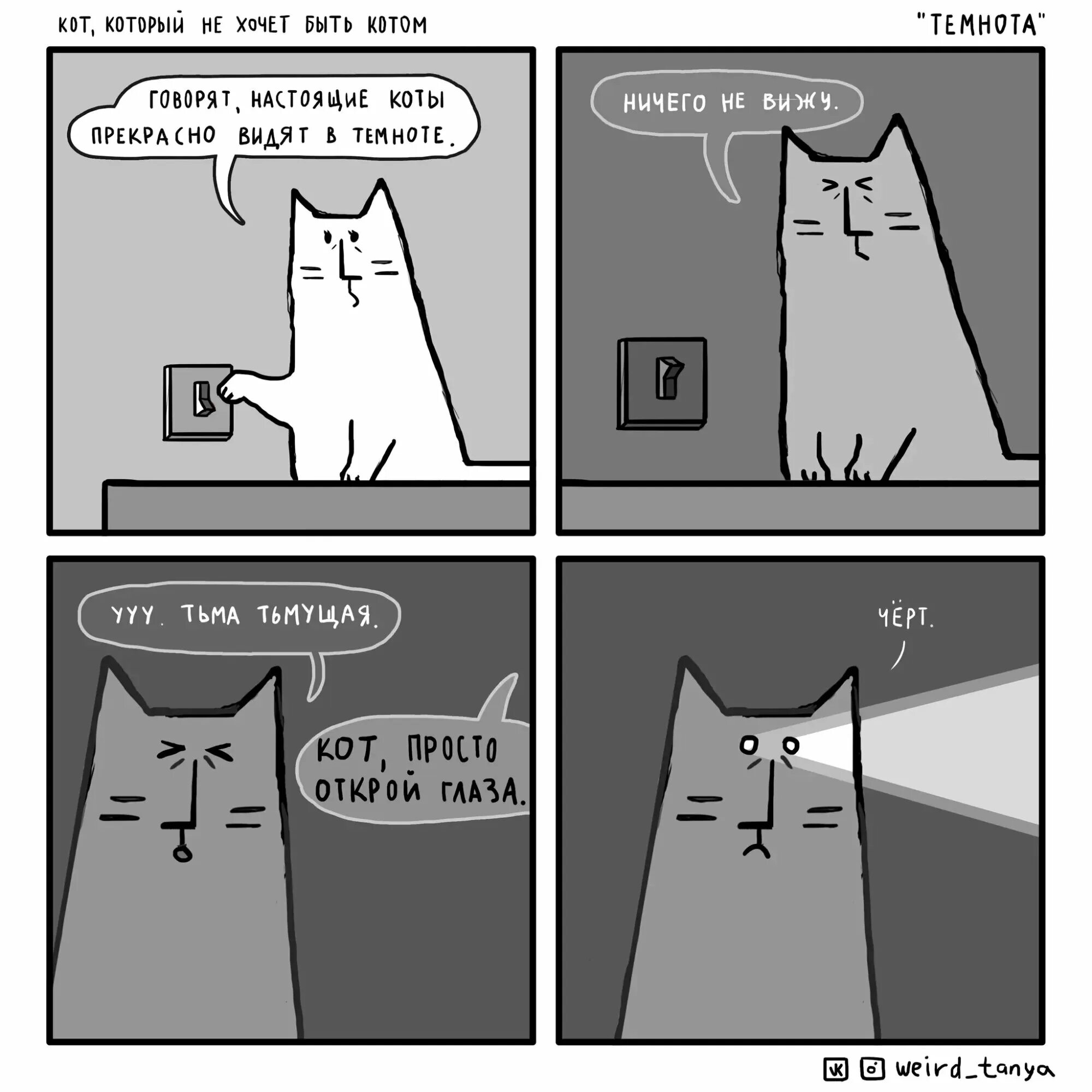 Как видит кот. Я вижу коте. Я вижу коте. Что вижу что видит кот. Я вижу дно кот мем.