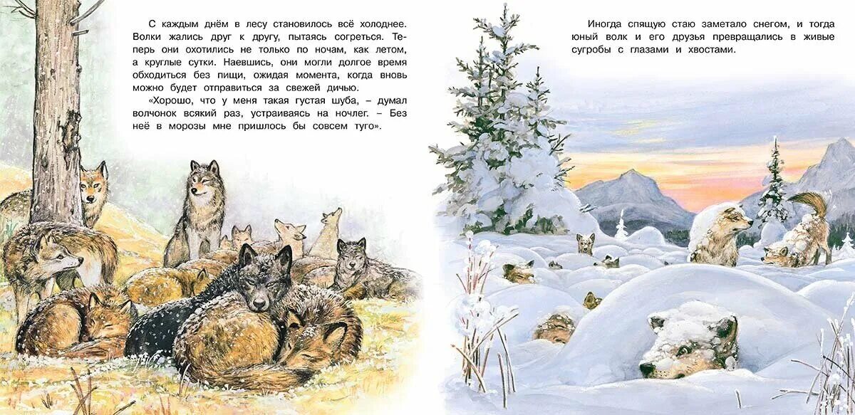 рассказ волчонок. рассказ белый клык джек лондон. открытки волчонок сказочный. познаем мир вокруг нас. приключения волчонка книга.