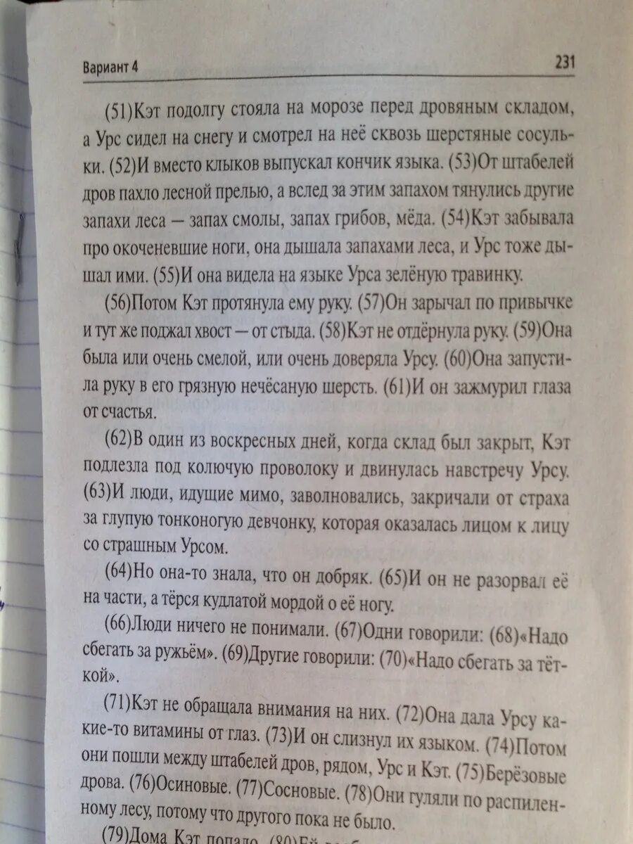 Урс и кэт сочинение. Кэт и урс сочинение. урс и кэт текст огэ. текст про урса и кэт сочинение. потом они пошли между штабелей дров рядом урс и кэт смысл фразы.