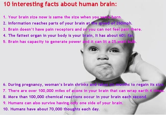 It is interesting to know that. Interesting facts about brain. human brain interesting facts. interesting facts. amazing facts.