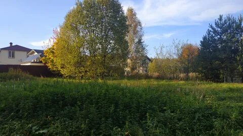 Участки в дмитрове московская область