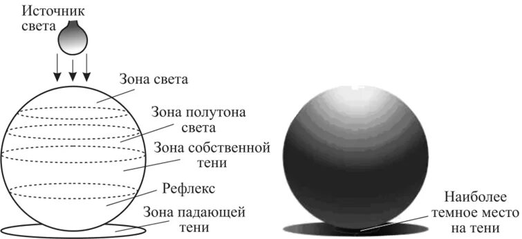 Света тень шара. Распределение теней на шаре. Светотень на шаре. Шар распределение светотени. Распределение света на шаре.