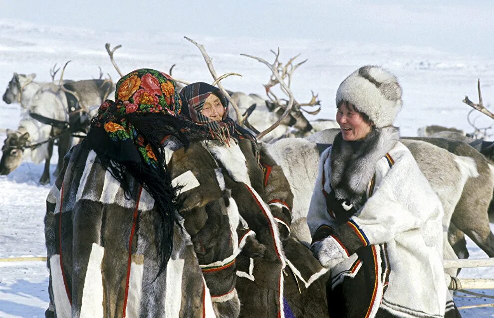 Виды общин коренных малочисленных народов. Коренные малочисленные народы севера. Общины коренных малочисленных народов. Общины коренных малочисленных народов севера. Объединение коренных малочисленных народов.