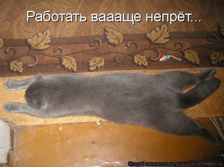 Но все как то не удавалось
