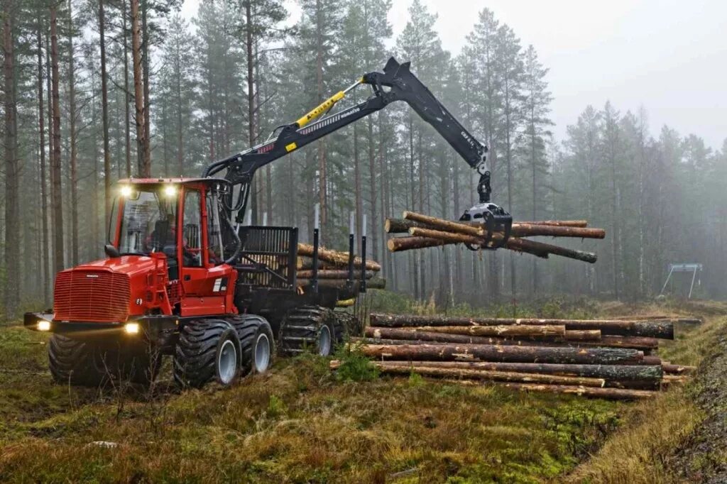 Таёжная зона хозяйственная деятельность. Хоз деятельность тайги. Заготовка леса. Хоз деятельность тайги. Хоз деятельность тайги в россии.