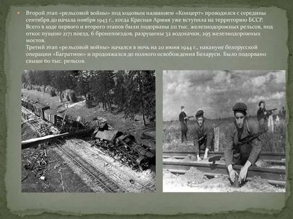 Партизанская операция курская битва
