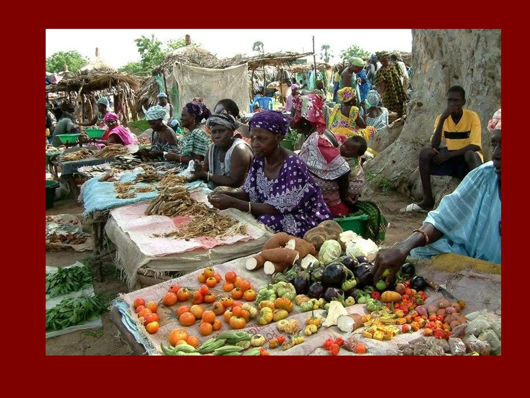 Почему сенегал арахисовая республика. Сенегал сельское хозяйство. Республика Сенегал народы. Сенегал Африка. Промышленность Сенегала.