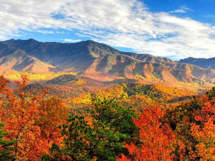 Blue Ridge Mountains North Carolina Homes Blue Ridge Mountains North Carolina Wa