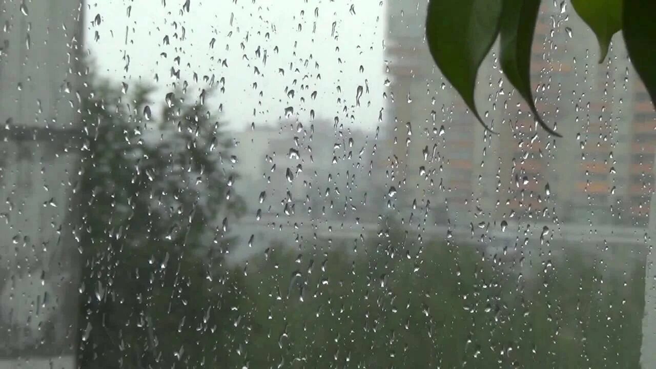 Песня дождь за окном шумит. Девушка у окна дождь. Дождь ливень. Осень дождь за окном. Шум ливня воскрешает по углам.