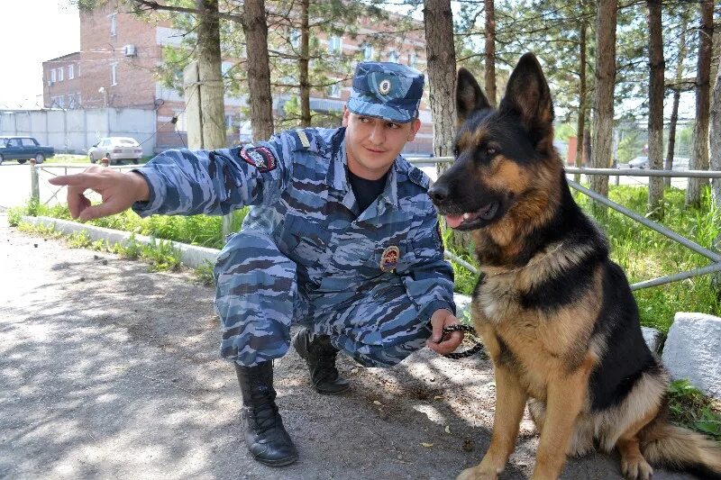 Кинолог после какого класса. Кинологическая служба полиции мвд россии. полиция рф кинологи. форма кинолога полиции мвд россии. полицейский кинолог ивс.