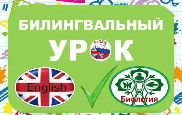Билингвальный урок. Билингвальный. билингвальный класс. билингвальный центр карточки. билингвальный компонент в детском саду это.