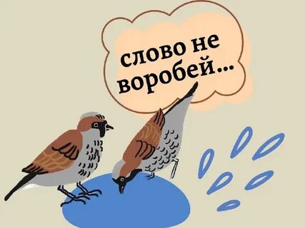 Лета не было воробьи
