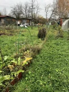 Может ли снт продавать участки