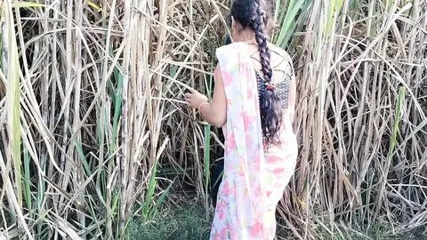Watch porn video Bhai bahan ne kiya Jungle Mein Mangal online or download f...