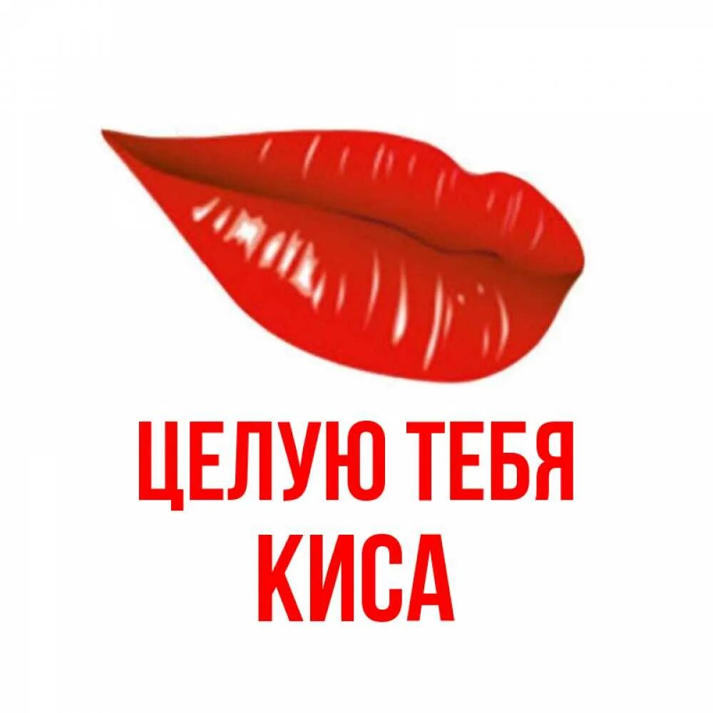 Кис ти. Целую киса открытка. целую тебя моя киса. киса целует кукиш. кисса имя.