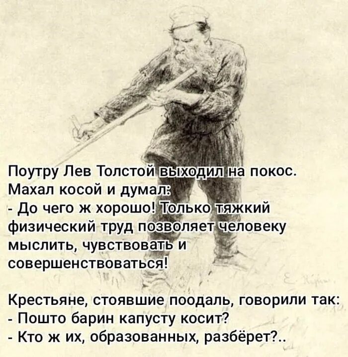 Лев толстой барин. Анекдоты про льва толстого. цитаты льва толстого смешные. лев толстой косит. лев толстой анекдоты.
